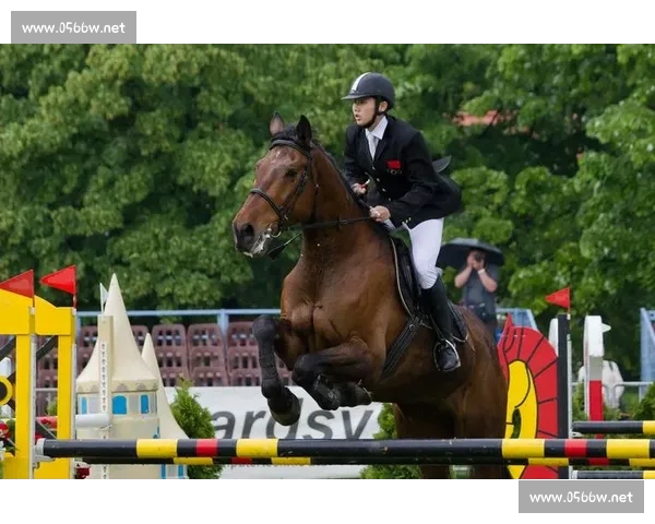 聚焦全球盛事全面解析世界杯赛程亮点与看点深度解读与观赛指南篇