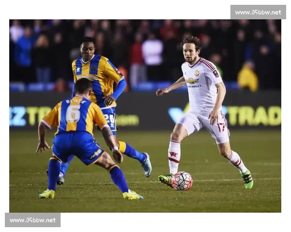 高清足球赛事直播APP下载指南畅享全球赛场精彩即时比分数据分析权威解说 - 副本 - 副本 (56) - 副本 - 副本 - 副本